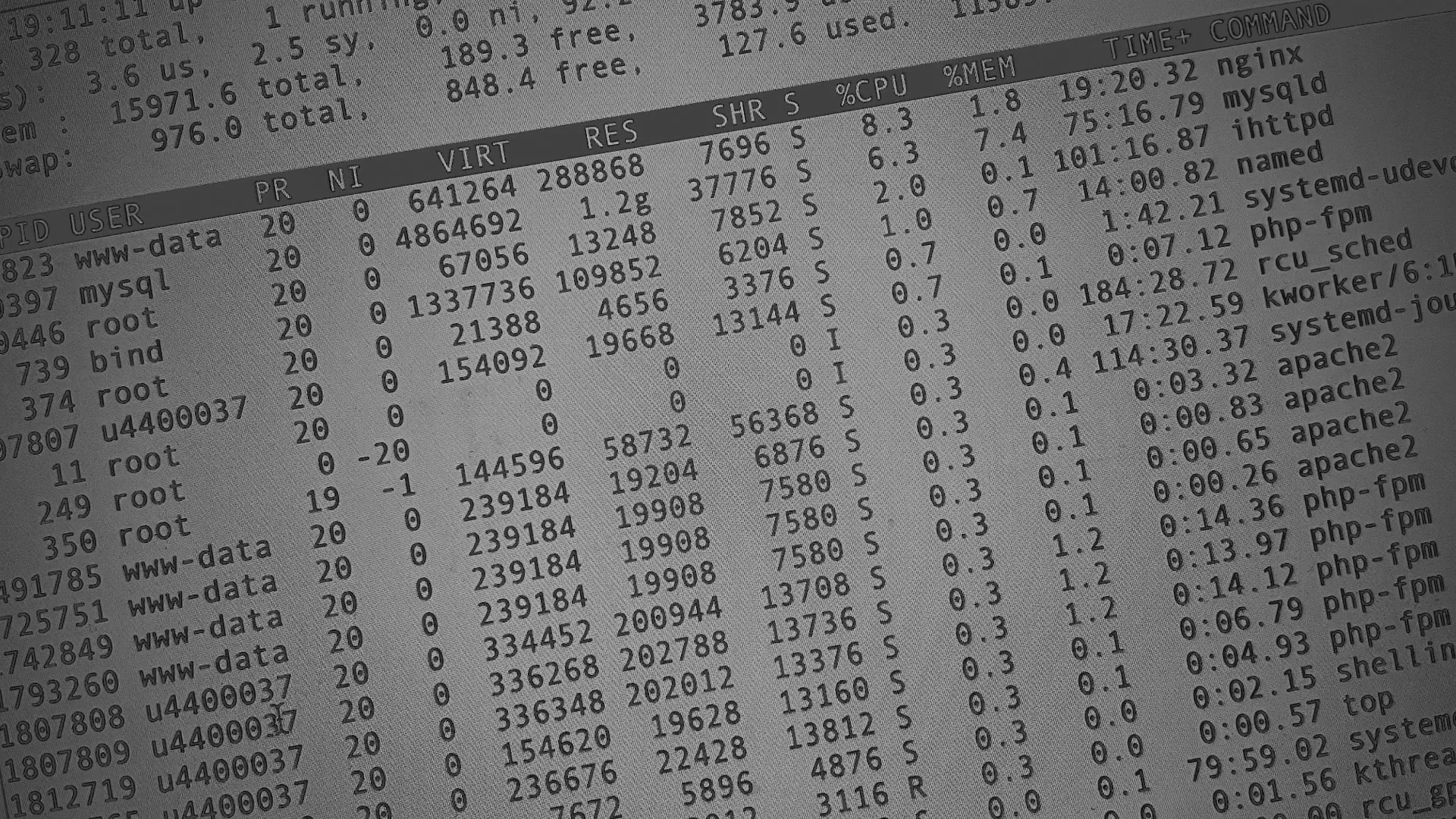 Настройка сервера в Узловой