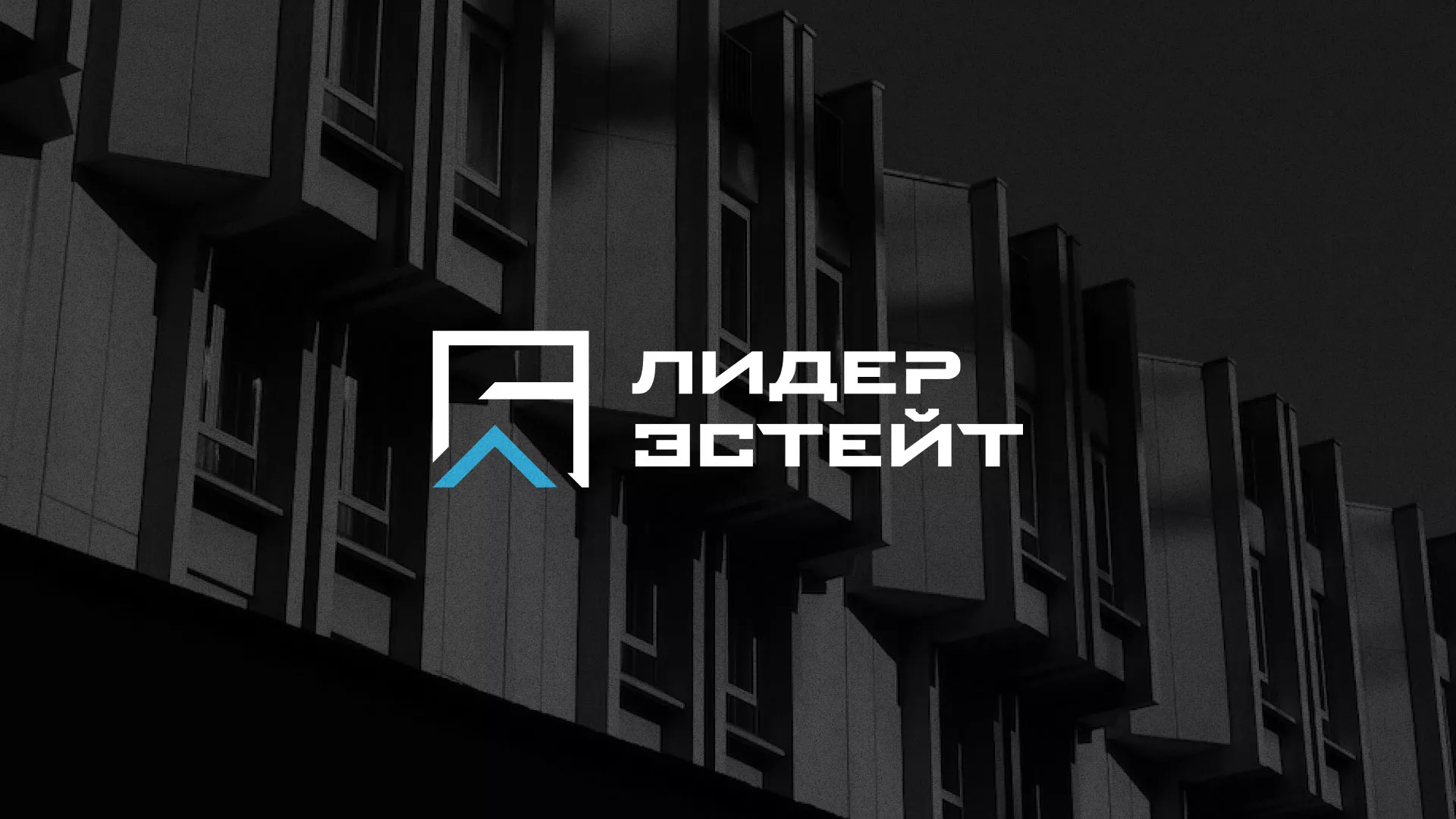 Разработка логотипа агентства недвижимости «Лидер Эстейт» в Узловой