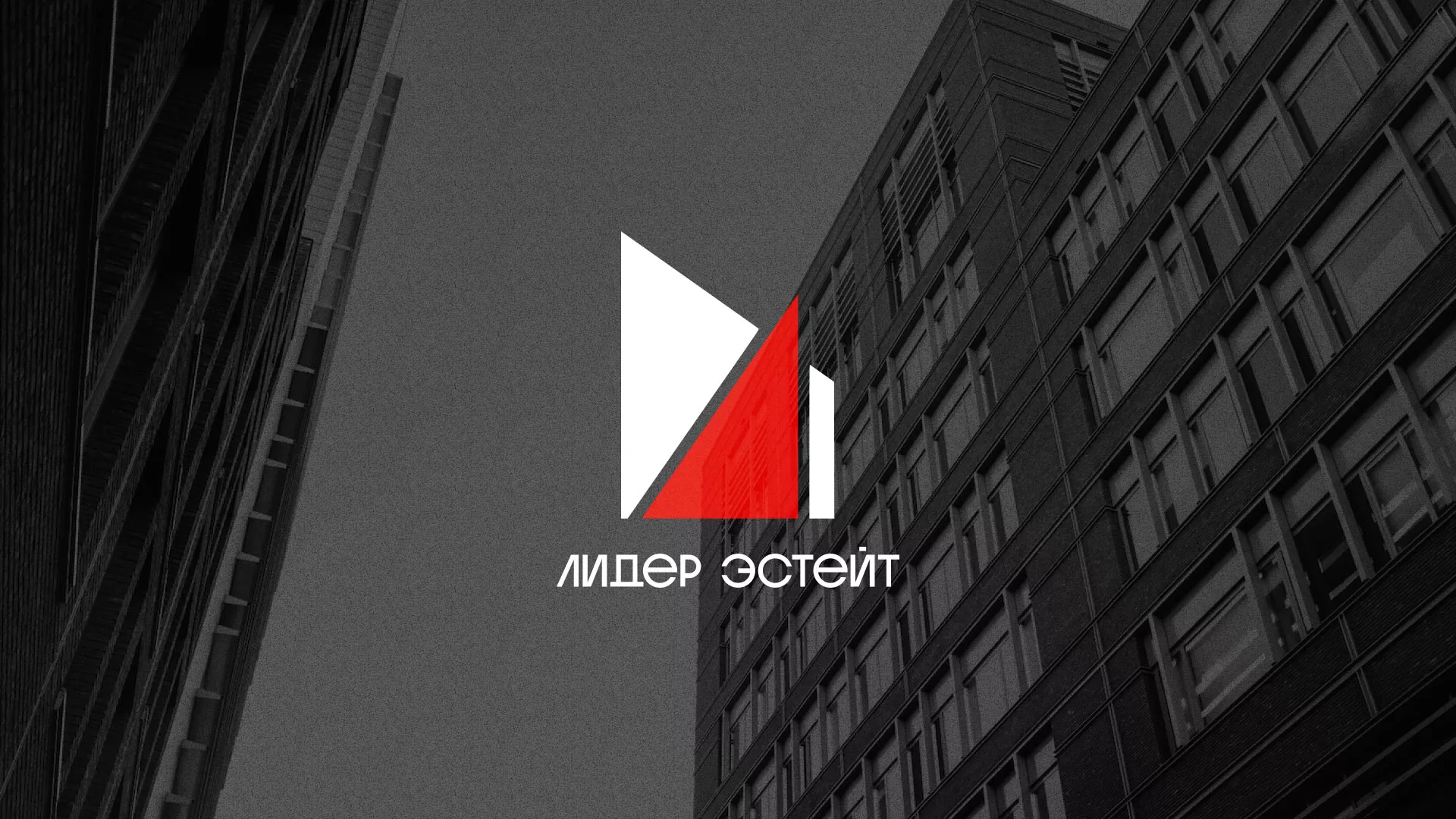 Сделали логотип для агентства недвижимости «Лидер Эстейт» в Узловой